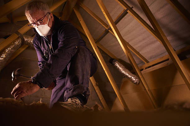 Types of Insulation We Offer in Lake Montezuma, AZ